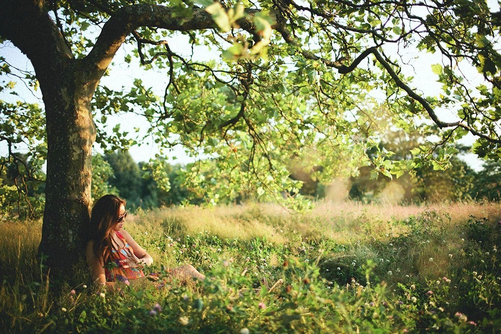 Under the tree перевод