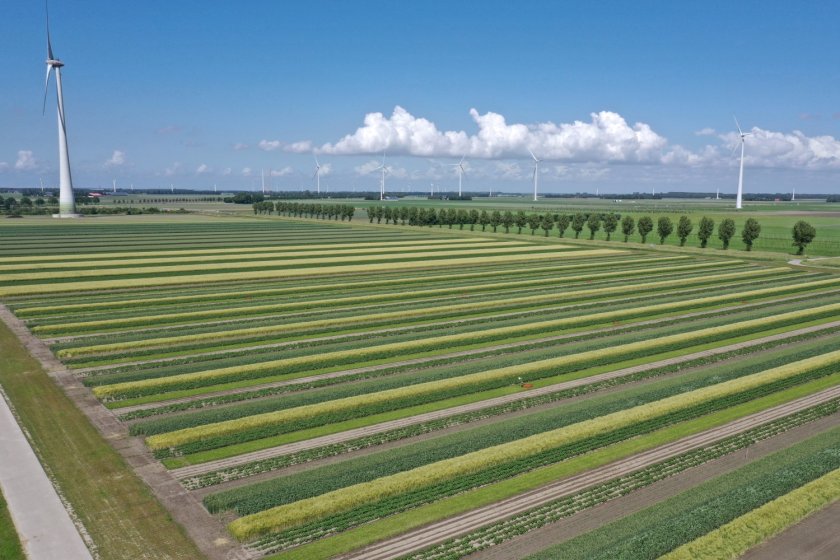 Boerderij van de Toekomst in Lelystad. Foto: OANEvents