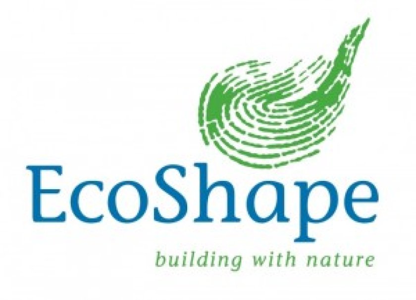 <L CODE="C03">ecoshape-300x217.jpg</L>