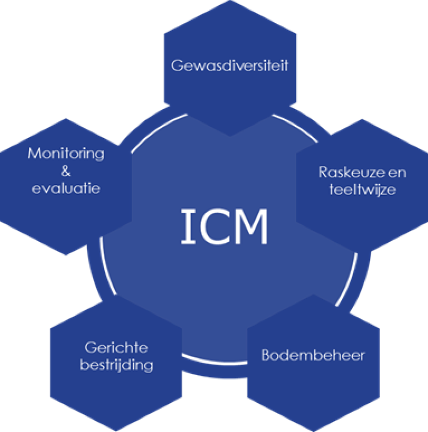 Integrated Crop Management