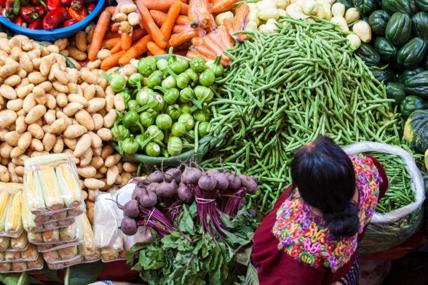 ‘Het hele systeem moet op de schop. De nadruk moet liggen op inclusieve en rechtvaardige besluitvorming.' Photo: Tati Nova photo Mexico / Shutterstock.com.