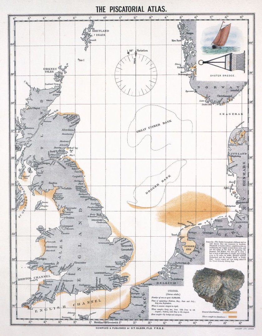 Historische verspreiding van de platte oester (Olsen, 1883)