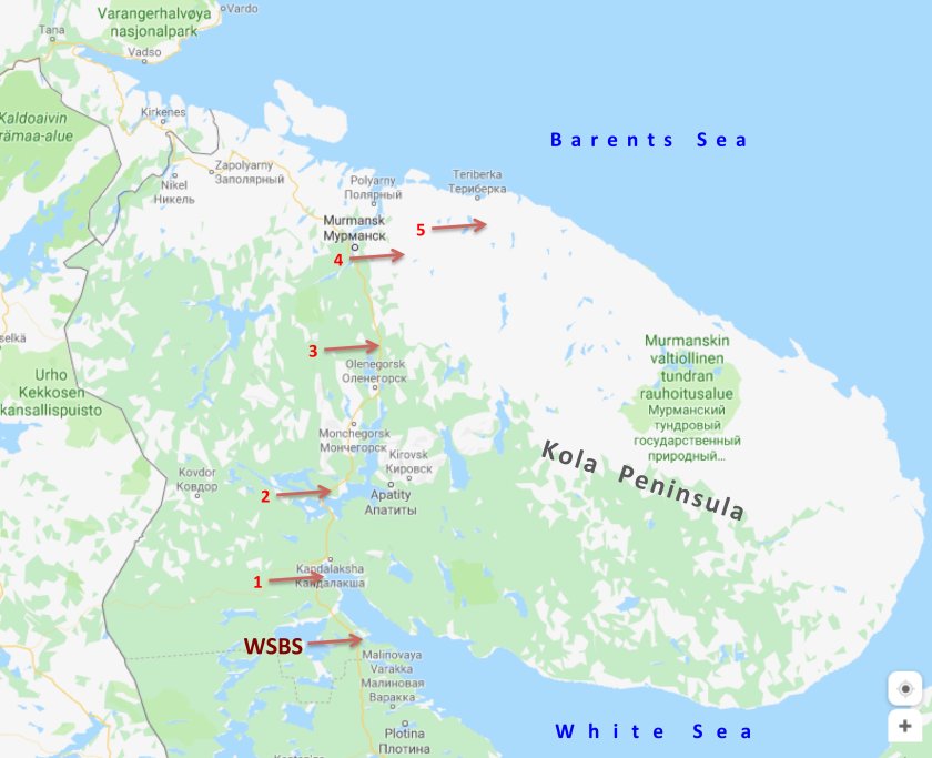 Fig. 4. The points of our sampling in the summer of 2019.