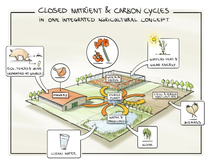 Sketch of a concept in which material flows between a greenhouse, pig farm and arable farm are exchanged. Although there are logistical advantages to keeping different types of farms close to each other, loops can also be closed over larger distances, with the help of central processing and distribution points.