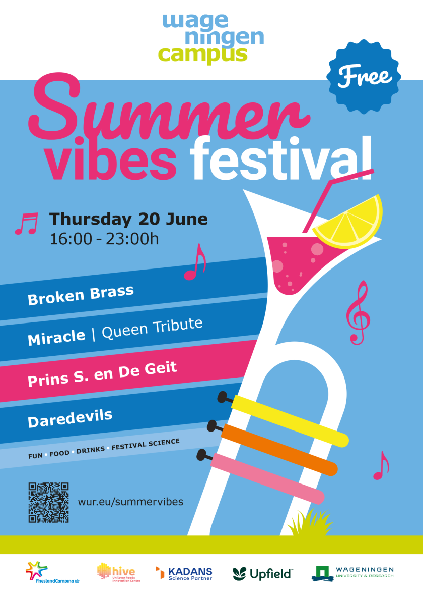 Poster - Summervibes Festival 2024