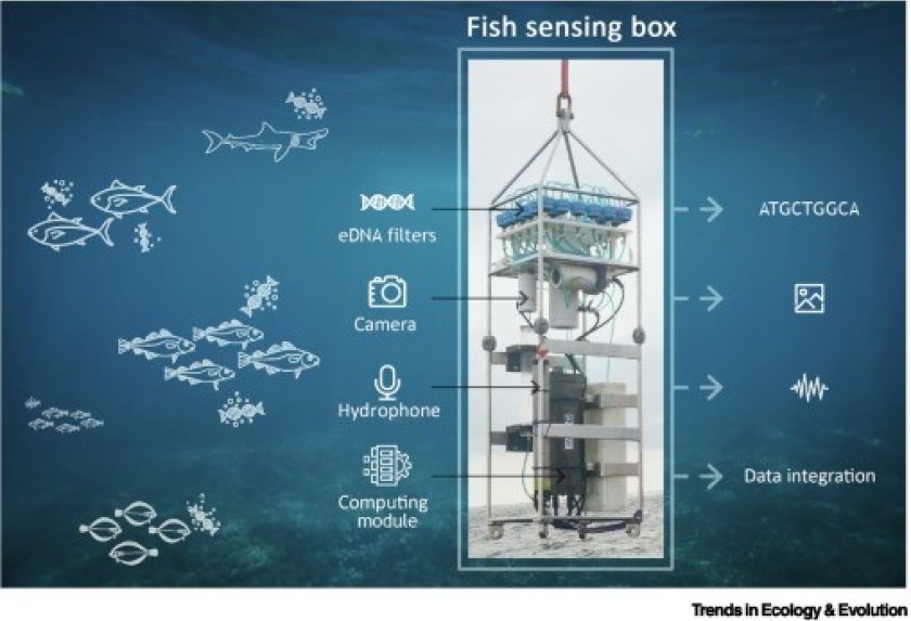 Biodiversity sensing box