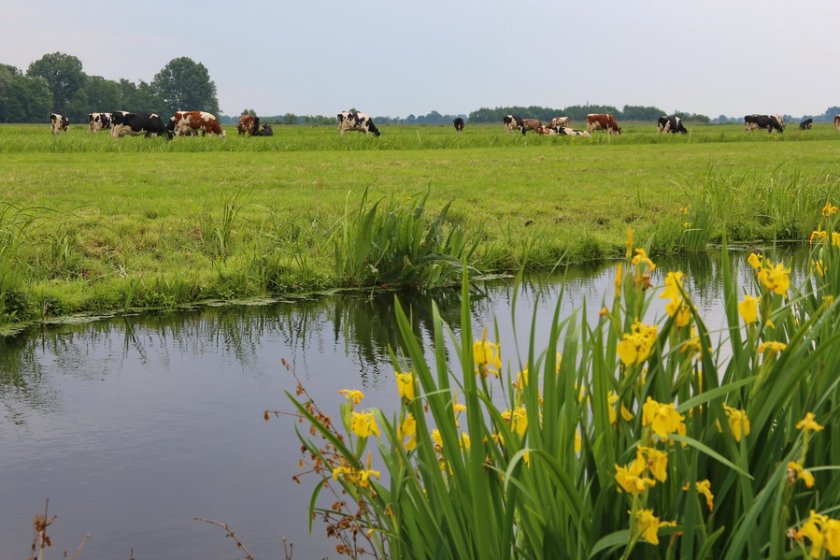 ''Onderhoud van sloten is op ons bedrijf echt maakwerk," meent Marinus